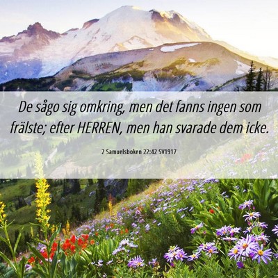 Picture 06 - 2 Samuelsboken 22:42 SV1917 - De sågo sig omkring, men det fanns ingen som - Bible Verse Picture