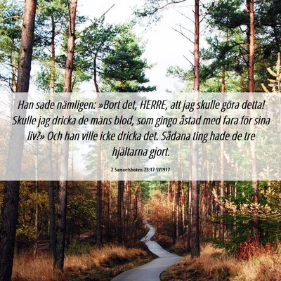 Picture 06 - 2 Samuelsboken 23:17 SV1917 - Han sade nämligen: »Bort det, HERRE, att jag - Bible Verse Picture