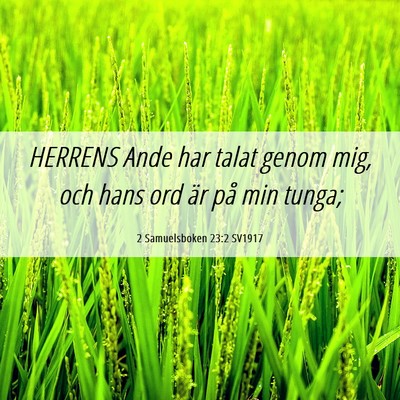 Picture 06 - 2 Samuelsboken 23:2 SV1917 - HERRENS Ande har talat genom mig, och hans ord - Bible Verse Picture