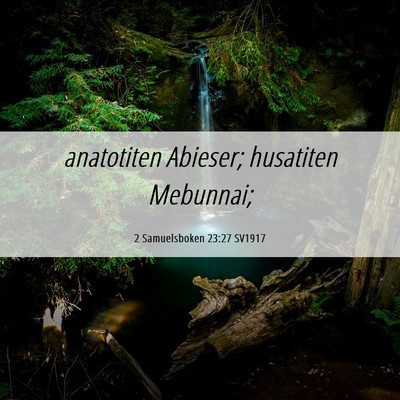 Picture 06 - 2 Samuelsboken 23:27 SV1917 - anatotiten Abieser; husatiten - Bible Verse Picture