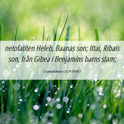 Picture 06 - 2 Samuelsboken 23:29 SV1917 - netofatiten Heleb, Baanas son; Ittai, Ribais son, - Bible Verse Picture