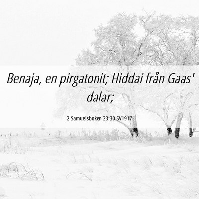 Picture 06 - 2 Samuelsboken 23:30 SV1917 - Benaja, en pirgatonit; Hiddai från Gaas' - Bible Verse Picture