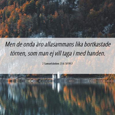 Picture 06 - 2 Samuelsboken 23:6 SV1917 - Men de onda äro allasammans lika bortkastade - Bible Verse Picture