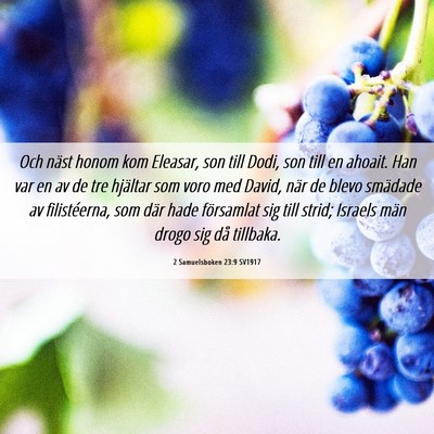 Picture 06 - 2 Samuelsboken 23:9 SV1917 - Och näst honom kom Eleasar, son till Dodi, son - Bible Verse Picture