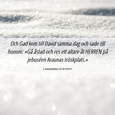 Picture 06 - 2 Samuelsboken 24:18 SV1917 - Och Gad kom till David samma dag och sade till - Bible Verse Picture