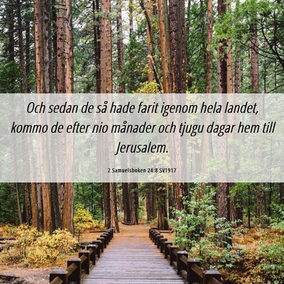 Picture 06 - 2 Samuelsboken 24:8 SV1917 - Och sedan de så hade farit igenom hela landet, - Bible Verse Picture