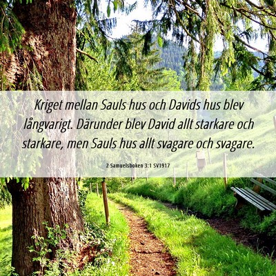 Picture 06 - 2 Samuelsboken 3:1 SV1917 - Kriget mellan Sauls hus och Davids hus blev - Bible Verse Picture