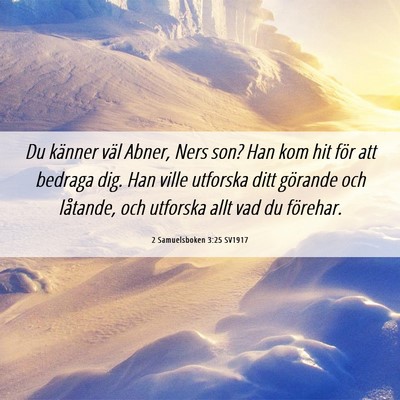 Picture 06 - 2 Samuelsboken 3:25 SV1917 - Du känner väl Abner, Ners son? Han kom hit för - Bible Verse Picture