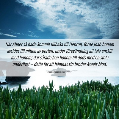 Picture 06 - 2 Samuelsboken 3:27 SV1917 - När Abner så hade kommit tillbaka till Hebron, - Bible Verse Picture