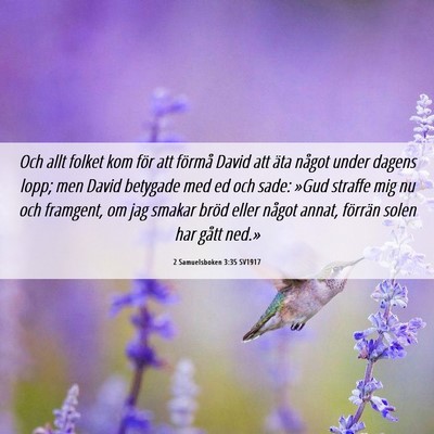 Picture 06 - 2 Samuelsboken 3:35 SV1917 - Och allt folket kom för att förmå David att - Bible Verse Picture