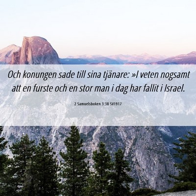 Picture 06 - 2 Samuelsboken 3:38 SV1917 - Och konungen sade till sina tjänare: »I veten - Bible Verse Picture