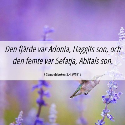 Picture 06 - 2 Samuelsboken 3:4 SV1917 - Den fjärde var Adonia, Haggits son, och den - Bible Verse Picture