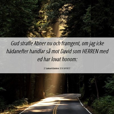 Picture 06 - 2 Samuelsboken 3:9 SV1917 - Gud straffe Abner nu och framgent, om jag icke - Bible Verse Picture