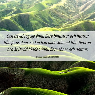 Picture 06 - 2 Samuelsboken 5:13 SV1917 - Och David tog sig ännu flera bihustrur och - Bible Verse Picture