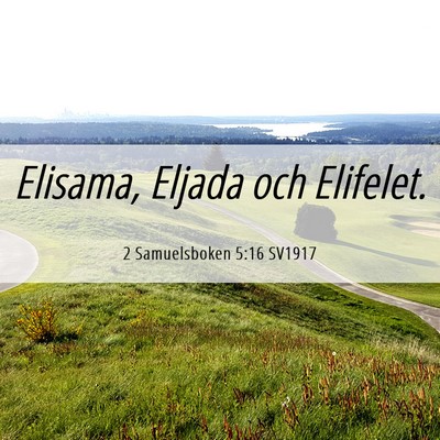 Picture 06 - 2 Samuelsboken 5:16 SV1917 - Elisama, Eljada och - Bible Verse Picture