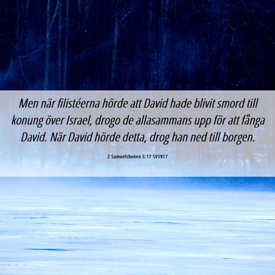 Picture 06 - 2 Samuelsboken 5:17 SV1917 - Men när filistéerna hörde att David hade - Bible Verse Picture