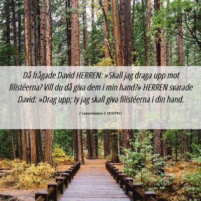 Picture 06 - 2 Samuelsboken 5:19 SV1917 - Då frågade David HERREN: »Skall jag draga upp - Bible Verse Picture