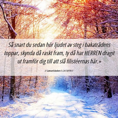 Picture 06 - 2 Samuelsboken 5:24 SV1917 - Så snart du sedan hör ljudet av steg i - Bible Verse Picture