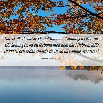 Picture 06 - 2 Samuelsboken 5:3 SV1917 - När så alla de äldste i Israel kommo till - Bible Verse Picture