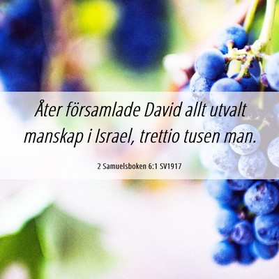 Picture 06 - 2 Samuelsboken 6:1 SV1917 - Åter församlade David allt utvalt manskap i - Bible Verse Picture