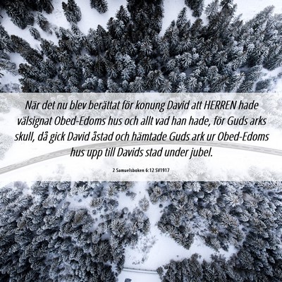 Picture 06 - 2 Samuelsboken 6:12 SV1917 - När det nu blev berättat för konung David att - Bible Verse Picture