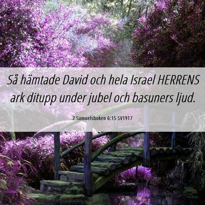 Picture 06 - 2 Samuelsboken 6:15 SV1917 - Så hämtade David och hela Israel HERRENS ark - Bible Verse Picture