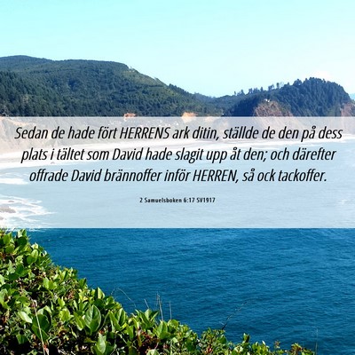 Picture 06 - 2 Samuelsboken 6:17 SV1917 - Sedan de hade fört HERRENS ark ditin, ställde - Bible Verse Picture