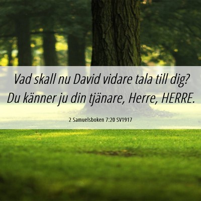 Picture 06 - 2 Samuelsboken 7:20 SV1917 - Vad skall nu David vidare tala till dig? Du - Bible Verse Picture