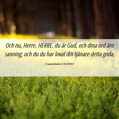 Picture 06 - 2 Samuelsboken 7:28 SV1917 - Och nu, Herre, HERRE, du är Gud, och dina ord - Bible Verse Picture