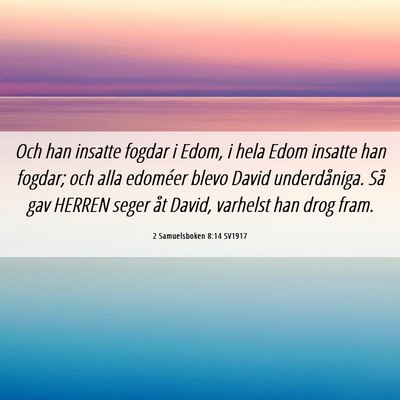 Picture 06 - 2 Samuelsboken 8:14 SV1917 - Och han insatte fogdar i Edom, i hela Edom - Bible Verse Picture