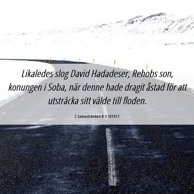 Picture 06 - 2 Samuelsboken 8:3 SV1917 - Likaledes slog David Hadadeser, Rehobs son, - Bible Verse Picture