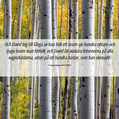 Picture 06 - 2 Samuelsboken 8:4 SV1917 - Och David tog till fånga av han folk ett tusen - Bible Verse Picture