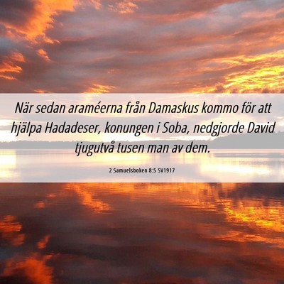 Picture 06 - 2 Samuelsboken 8:5 SV1917 - När sedan araméerna från Damaskus kommo för - Bible Verse Picture
