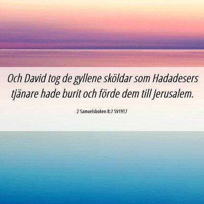 Picture 06 - 2 Samuelsboken 8:7 SV1917 - Och David tog de gyllene sköldar som Hadadesers - Bible Verse Picture