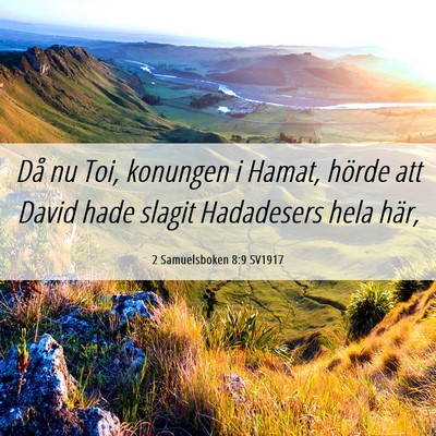 Picture 06 - 2 Samuelsboken 8:9 SV1917 - Då nu Toi, konungen i Hamat, hörde att David - Bible Verse Picture