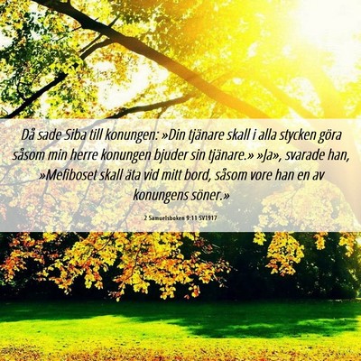 Picture 06 - 2 Samuelsboken 9:11 SV1917 - Då sade Siba till konungen: »Din tjänare skall - Bible Verse Picture
