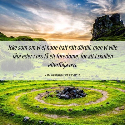 Picture 06 - 2 Thessalonikerbrevet 3:9 SV1917 - Icke som om vi ej hade haft rätt därtill, men - Bible Verse Picture
