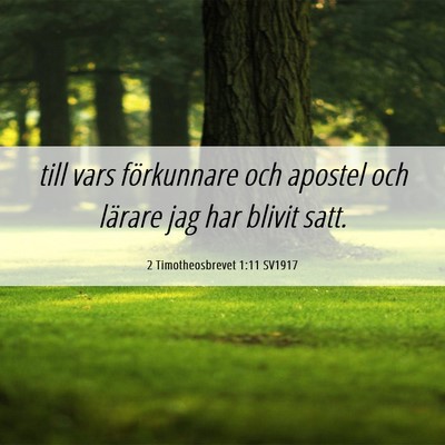 Picture 06 - 2 Timotheosbrevet 1:11 SV1917 - till vars förkunnare och apostel och lärare jag - Bible Verse Picture