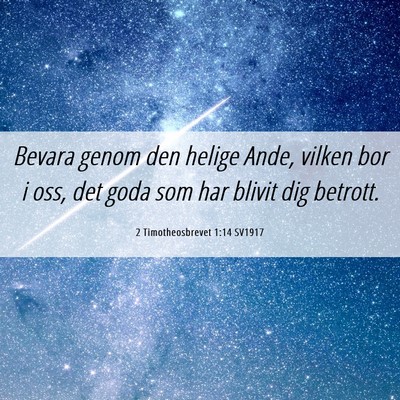 Picture 06 - 2 Timotheosbrevet 1:14 SV1917 - Bevara genom den helige Ande, vilken bor i oss, - Bible Verse Picture