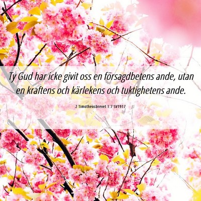 Picture 06 - 2 Timotheosbrevet 1:7 SV1917 - Ty Gud har icke givit oss en försagdbetens ande, - Bible Verse Picture