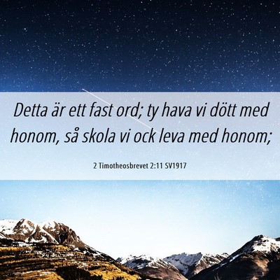 Picture 06 - 2 Timotheosbrevet 2:11 SV1917 - Detta är ett fast ord; ty hava vi dött med - Bible Verse Picture