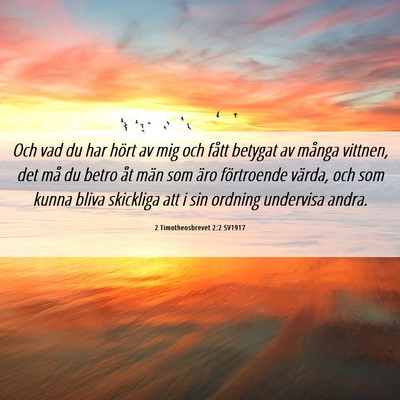 Picture 06 - 2 Timotheosbrevet 2:2 SV1917 - Och vad du har hört av mig och fått betygat av - Bible Verse Picture