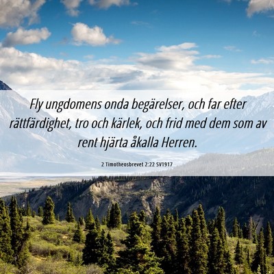 Picture 06 - 2 Timotheosbrevet 2:22 SV1917 - Fly ungdomens onda begärelser, och far efter - Bible Verse Picture