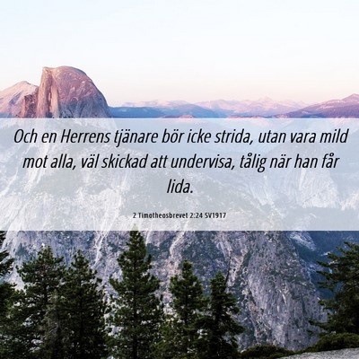Picture 06 - 2 Timotheosbrevet 2:24 SV1917 - Och en Herrens tjänare bör icke strida, utan - Bible Verse Picture