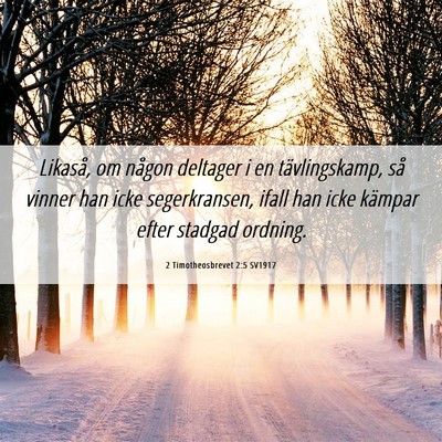 Picture 06 - 2 Timotheosbrevet 2:5 SV1917 - Likaså, om någon deltager i en tävlingskamp, - Bible Verse Picture