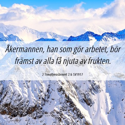 Picture 06 - 2 Timotheosbrevet 2:6 SV1917 - Åkermannen, han som gör arbetet, bör främst - Bible Verse Picture