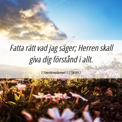 Picture 06 - 2 Timotheosbrevet 2:7 SV1917 - Fatta rätt vad jag säger; Herren skall giva dig - Bible Verse Picture