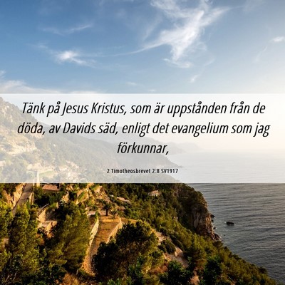 Picture 06 - 2 Timotheosbrevet 2:8 SV1917 - Tänk på Jesus Kristus, som är uppstånden - Bible Verse Picture