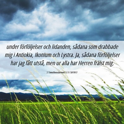 Picture 06 - 2 Timotheosbrevet 3:11 SV1917 - under förföljelser och lidanden, sådana som - Bible Verse Picture