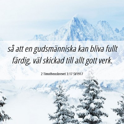 Picture 06 - 2 Timotheosbrevet 3:17 SV1917 - så att en gudsmänniska kan bliva fullt färdig, - Bible Verse Picture